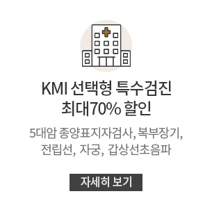 հǰ KMI