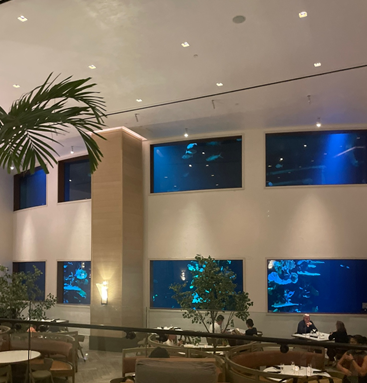 external_image external_image