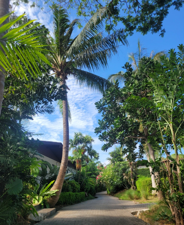 external_image