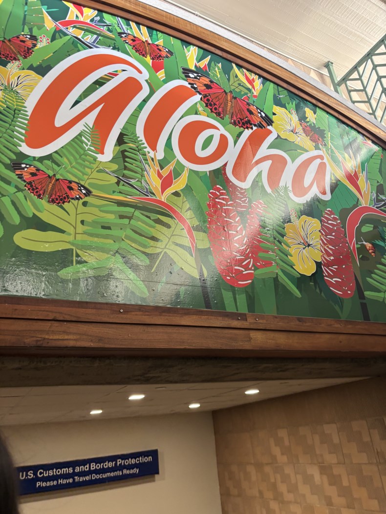 ÇÏ¿ÍÀ̵µÂøÇÏÀÚ¸¶ÀÚ ¹Ý°ÜÁÖ´Â aloha~
