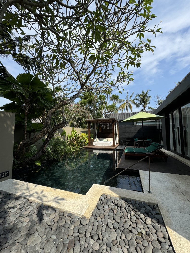 ����Ǯ���ε� �ʹ� ������ ���� �����մϴ� ��