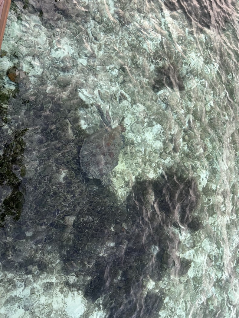 external_image