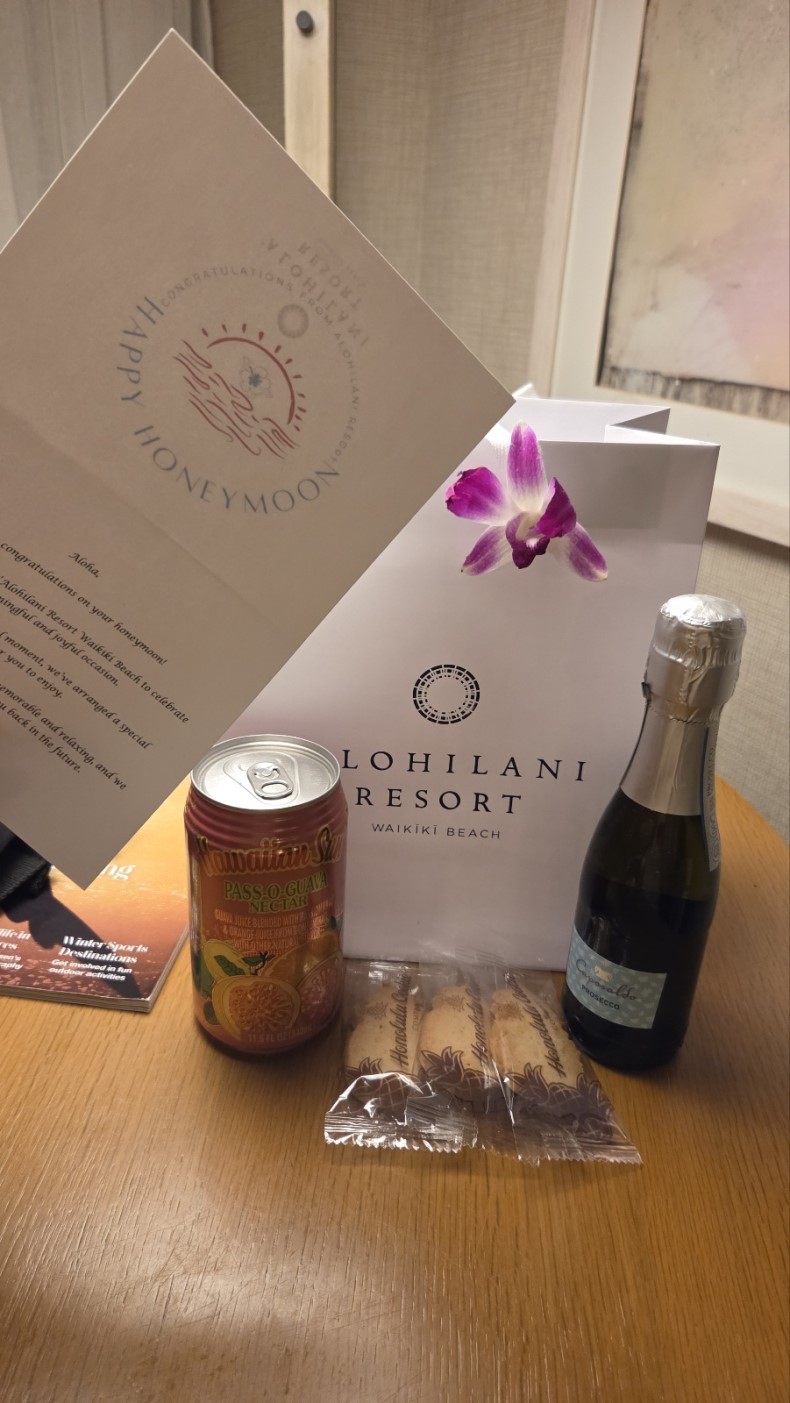 ��Ϲ��̶�� �����ֻ��� ���ְ� �� �Ծ���� ���ξ�����Ű�� ���� ���ֳ׿�!