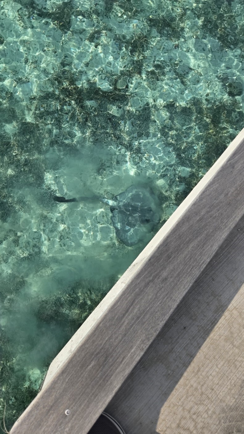 external_image external_image