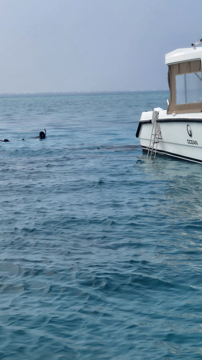 external_image external_image