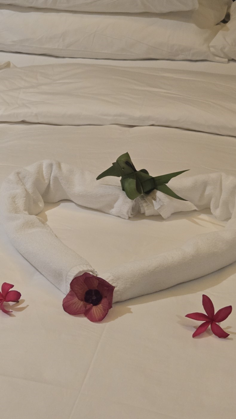 external_image external_image