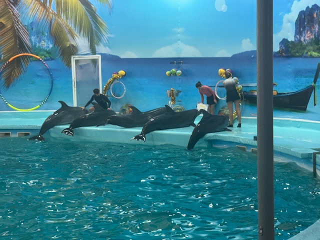 external_image external_image