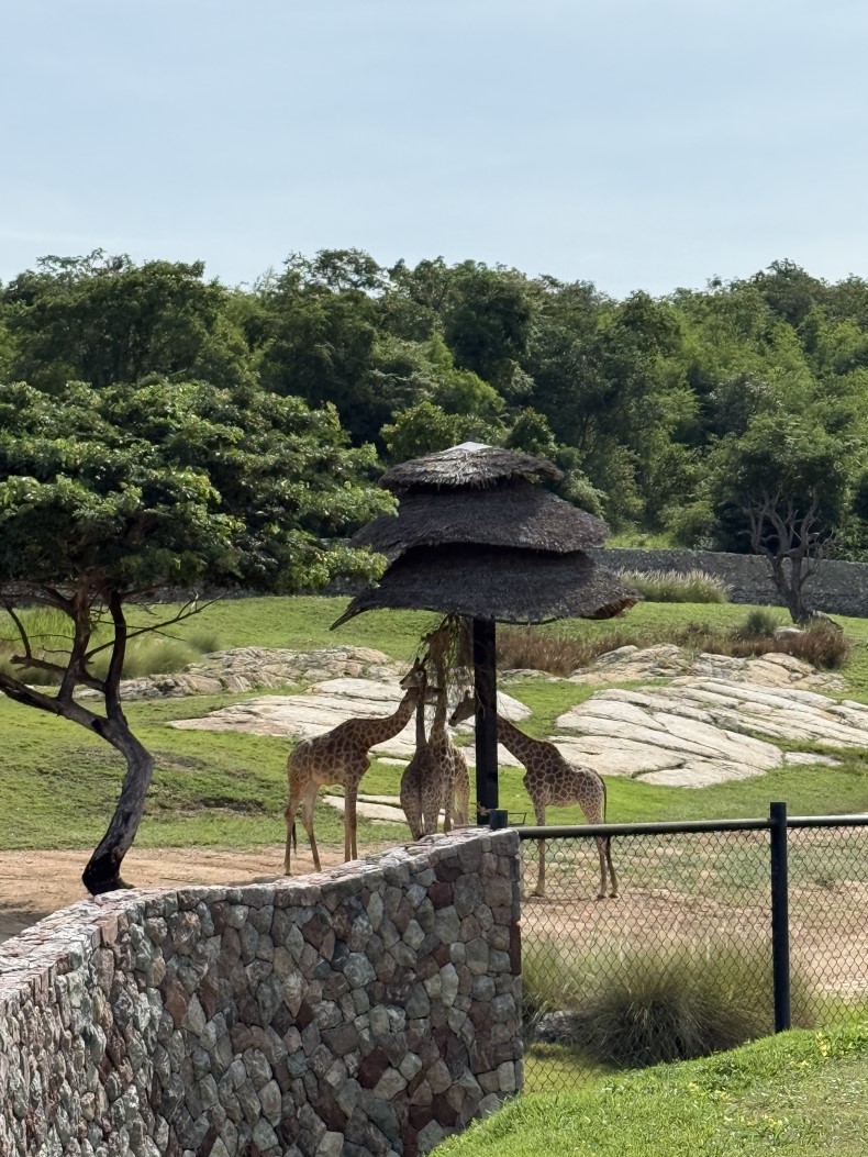 external_image external_image