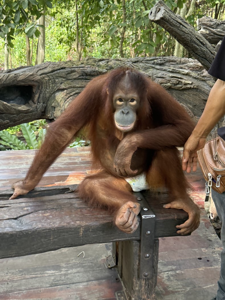 external_image external_image